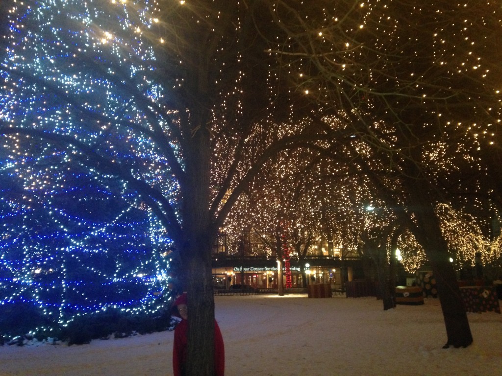 Twinkle lights in Rice Park